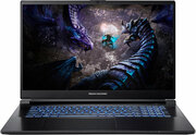 Купить Ноутбук Dream Machines G1650-17 Black (G1650-17UA91)