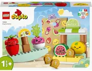 1736152390-opt-756807-1.webp