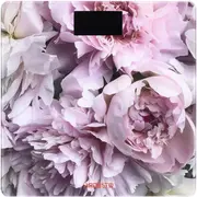 1738858136-opt-760755-1.webp