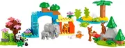 1753683421-768631-3.webp