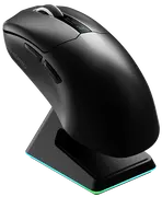 1754058175-opt-1.webp