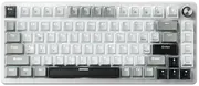 1754298566-opt-1.webp