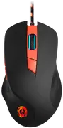 1777717920-789148-1.webp