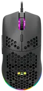 1778265776-789155-1.webp
