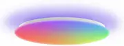 1785930975-667328563-opt.webp