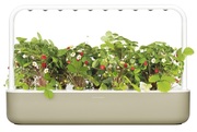 Купить Умный сад Smart Garden Click&Grow 9 (Бежевый) 8875 SG9