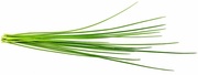 Купить Сменный картридж Click&Grow Зеленый лук 7540