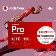 Купить «Vodafone SuperNet Pro 1»