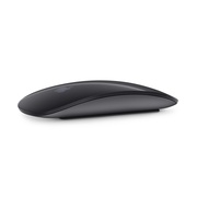 Купить Мышь Apple Magic Mouse 2 (Space Grey) MRME2