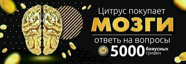 Share Banner