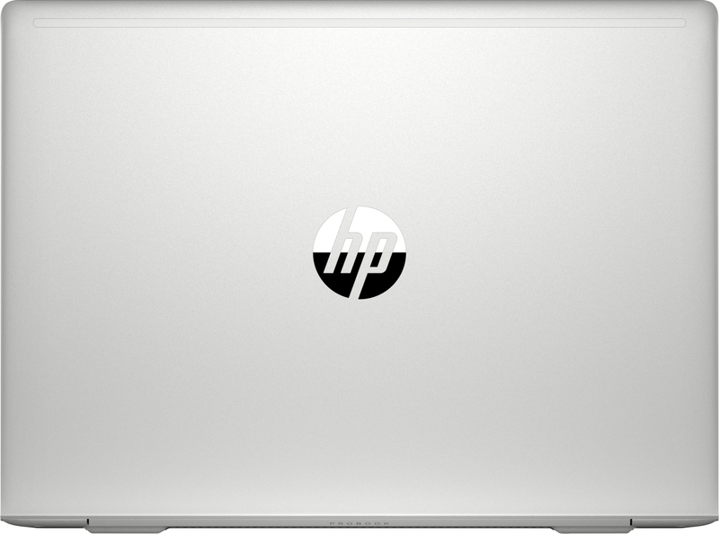 Ноутбук HP ProBook 445 G7 Silver (12X10EA) фото