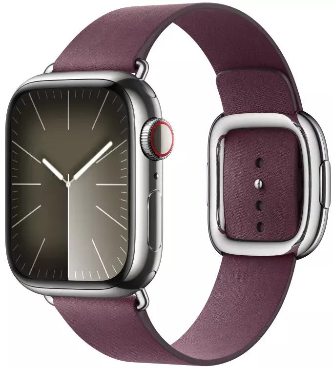 Ремінець для годинника Apple Watch 41mm (Mulberry) Modern Buckle - Medium MUH83ZM/A фото