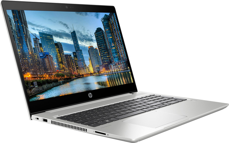Ноутбук HP ProBook 450 G7 Pike Silver (6YY23AV_V6) фото