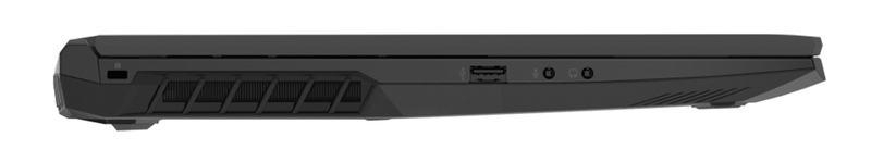 Ноутбук Dream Machines RG3060-17 Black (RG3060-17UA38) фото