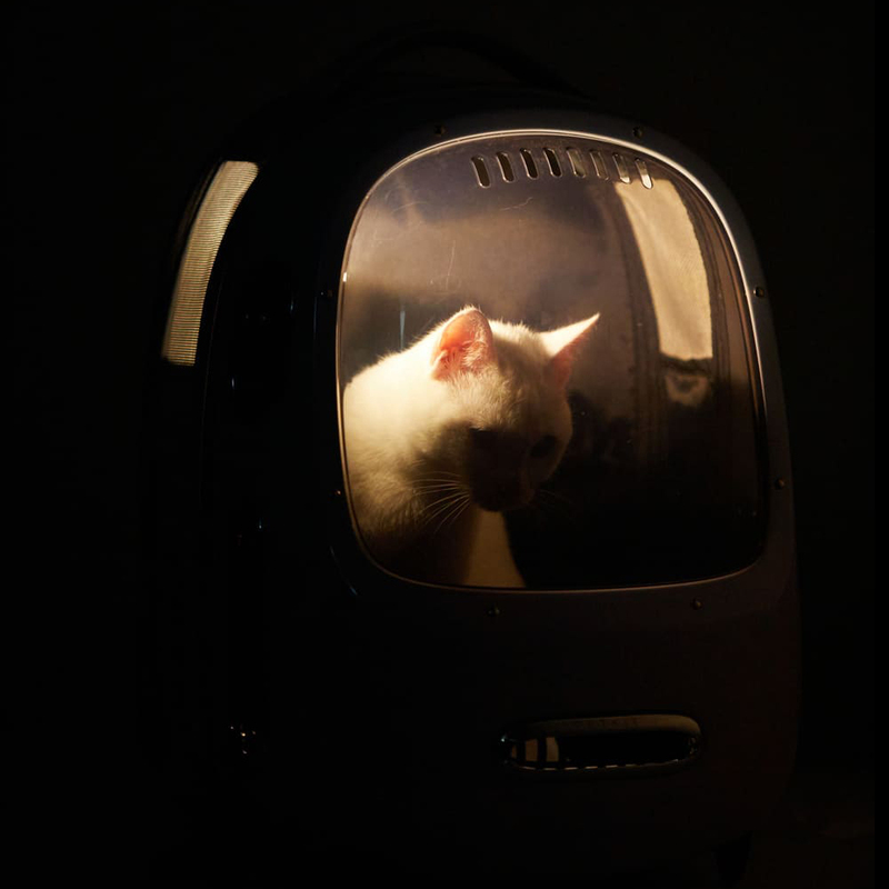 Рюкзак-переноска PETKIT Breezy2 Smart Cat Carrier (Desert Camo) фото