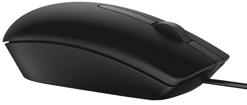 Мышь Dell MS116 (Black) фото