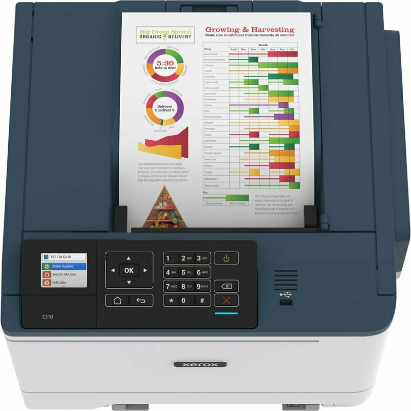 Принтер А4 Xerox C310 Wi-Fi (C310V_DNI) фото
