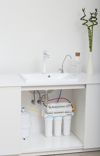 Фільтр зворотного осмосу Ecosoft Standard 5-50 (1 вуг. картридж, простий кран, 50 гал/добу) MO550ECOSTD - фото - №3