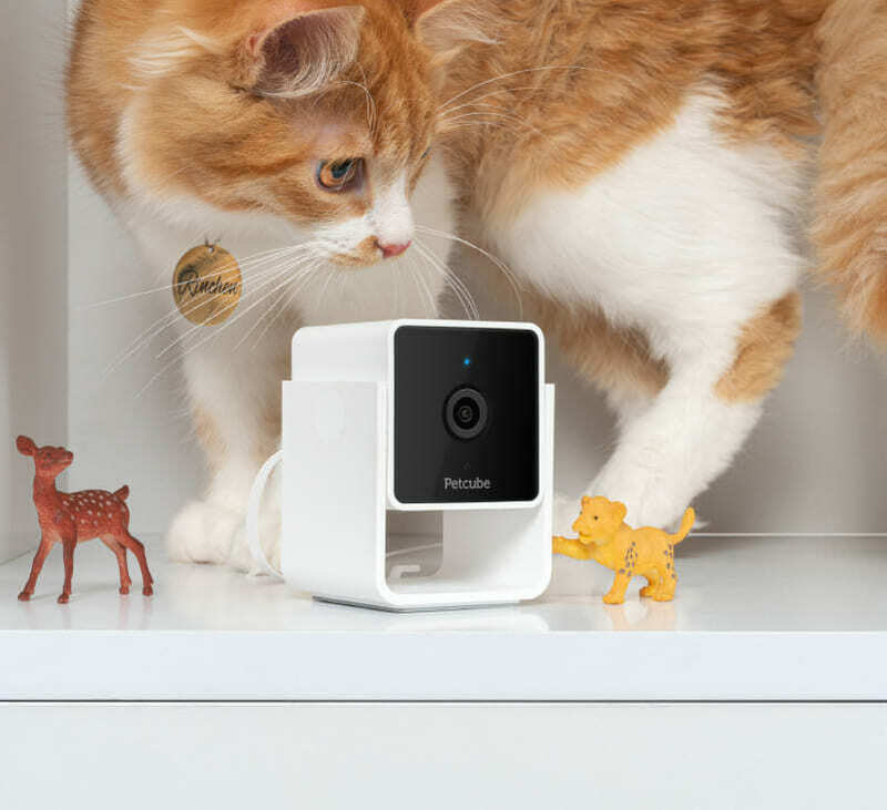 IP камера PETCUBE HD CC10US - фото - №4