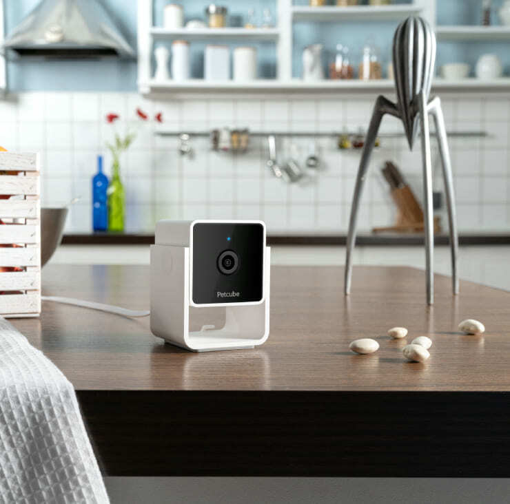 IP камера PETCUBE HD CC10US - фото - №6