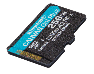 Карта памяти MicroSD Kingston Canvas Go Plus 256Gb SDCG3/256GB фото