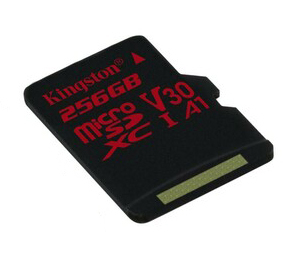 Карта пам'яті MicroSD 256Gb Kingston React (Black) SDCR/256GB фото