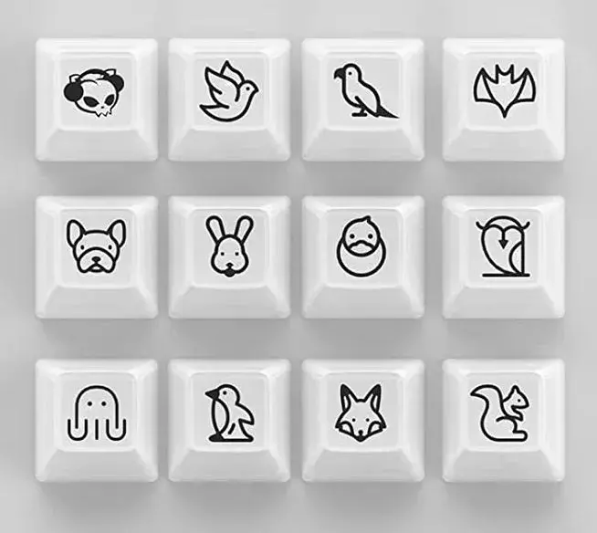 Набір кейкапів Akko ASA Clear printed keycap White V2 Fullset фото