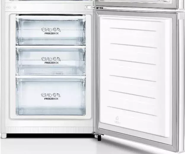 Двокамерний холодильник Gorenje RK4161PW4 фото