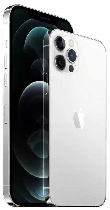 Apple iPhone 12 Pro 256GB Silver (MGMQ3) фото