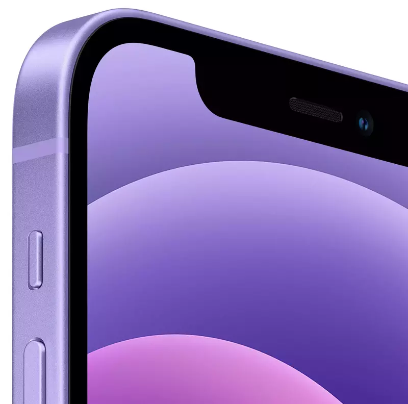 Apple iPhone 12 256GB Purple (MJNQ3) фото