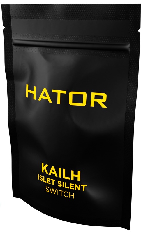 Комплект HATOR Hotswap Switch Kailh Islet silent (HTS-173) фото