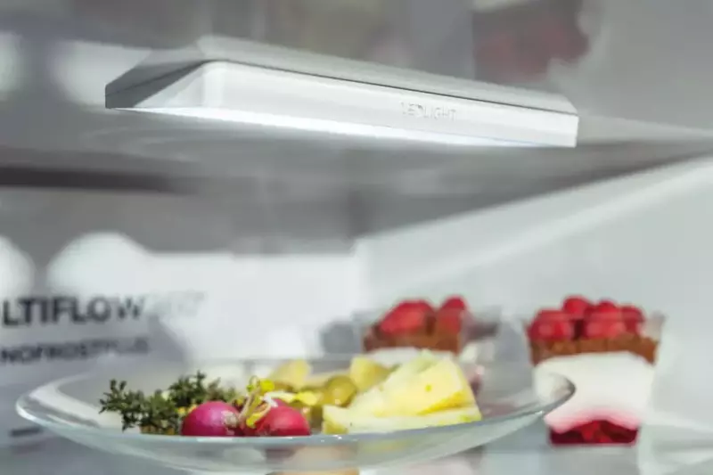 Холодильник Gorenje RB491PW - фото - №3