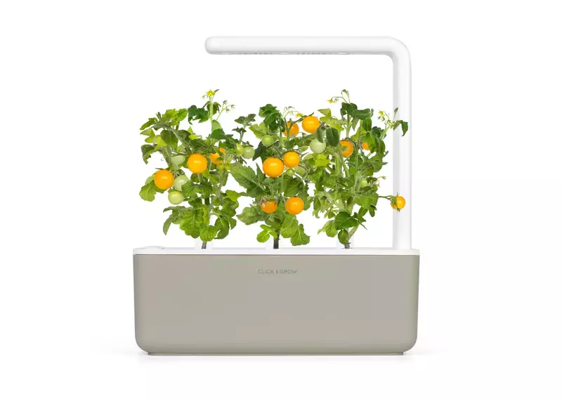 Сменный картридж Click&Grow Желтые томаты фото