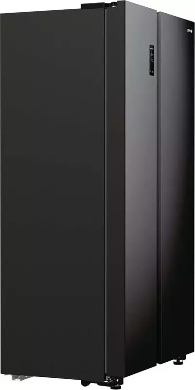 Side-by-side холодильник Gorenje NRR9185EABXLWD SBS фото
