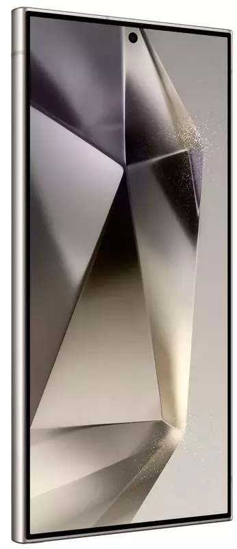 Samsung Galaxy S24 Ultra S928B 12/256GB Titanium Gray (SM-S928BZTGEUC) фото