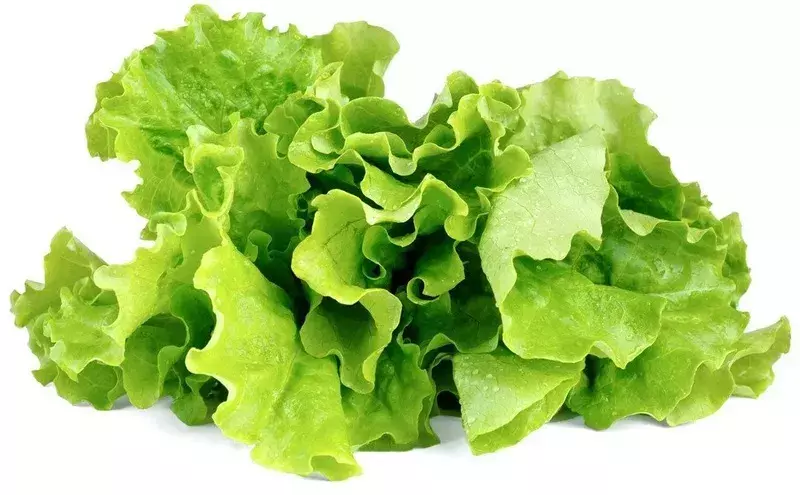 Сменный картридж Click&Grow Зеленый салат 7731 фото