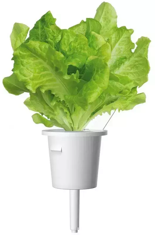 Змінний картридж Click&Grow Зелений салат 7731 фото