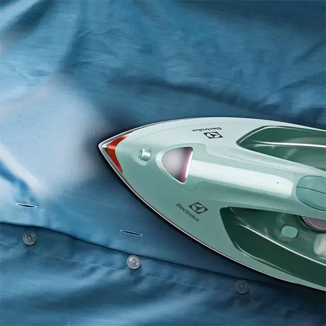 Праска Electrolux E7SI16LG - фото - №4