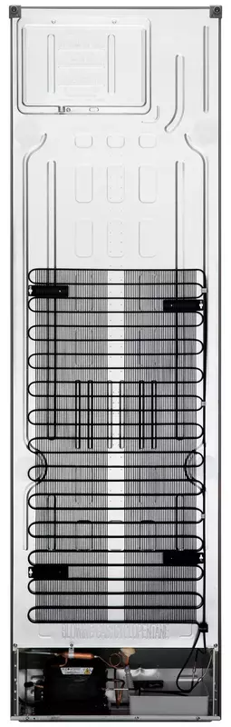Двокамерний холодильник LG GC-B509SMSM фото