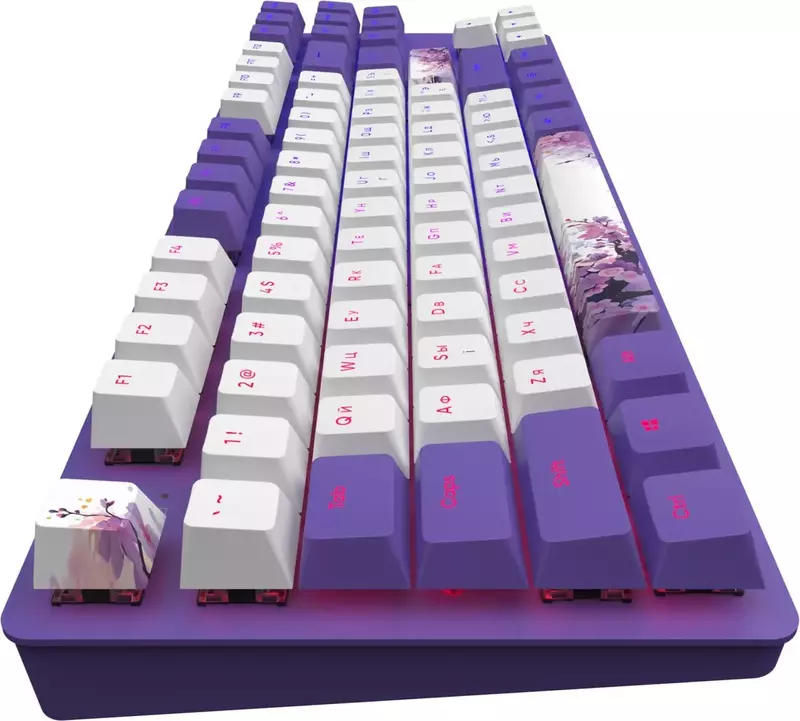 Клавіатура ігрова Dark Project One (Violet Horizons) DPO87_GSH_DPUP_ANSI_UA фото