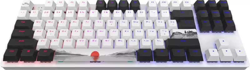 Клавиатура игровая Dark Project One 87 Fuji