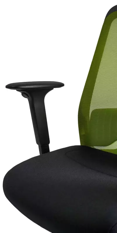 Офисное кресло Interstuhl EVERYis1 EV216 Green фото