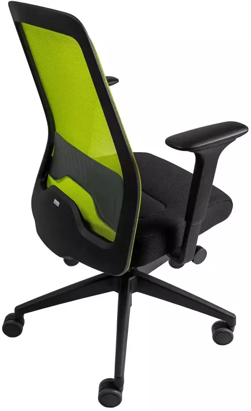 Офисное кресло Interstuhl EVERYis1 EV216 Green фото