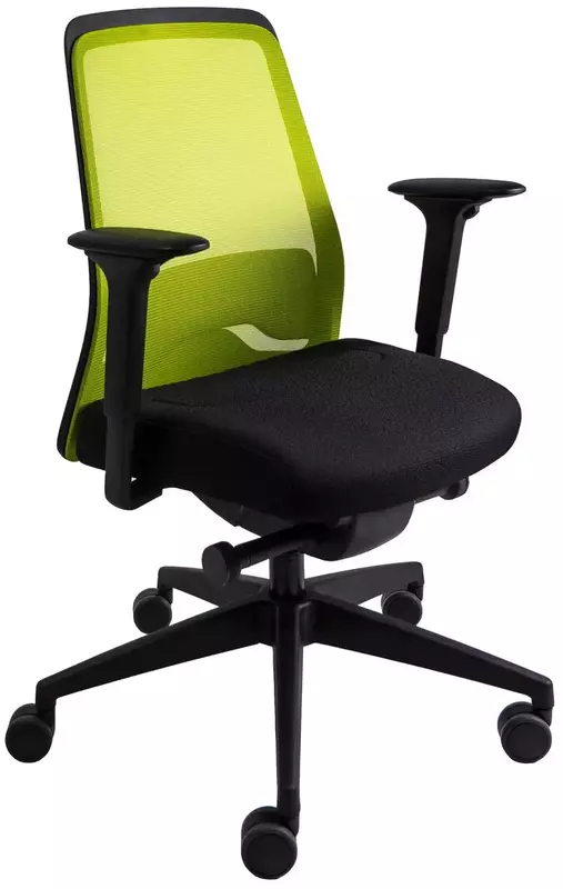 Офисное кресло Interstuhl EVERYis1 EV216 Green фото