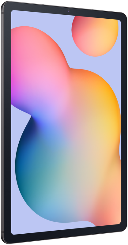 Samsung Galaxy Tab S6 Lite 2024 10.4" 4/64GB Wi-Fi Gray (SM-P620NZAAEUC) фото