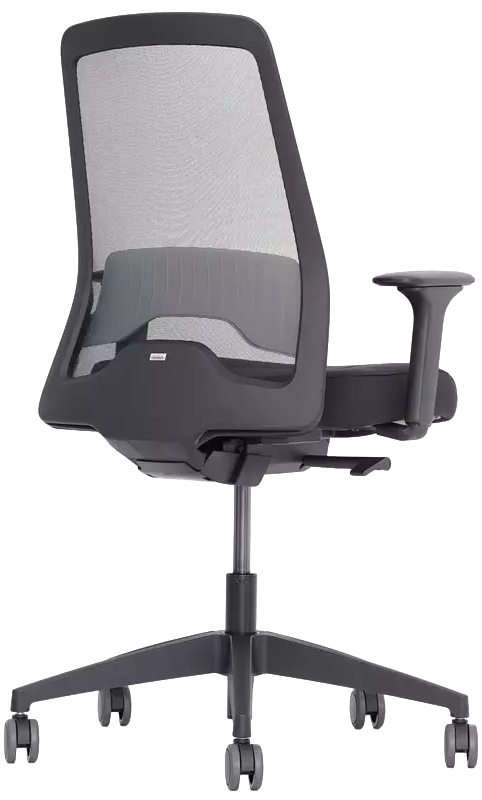Офісне крісло Interstuhl EVERY Swivel EV256 Black фото