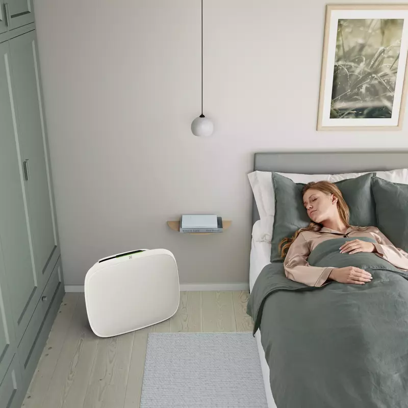 Очиститель воздуха ELECTROLUX WA51-304WT фото