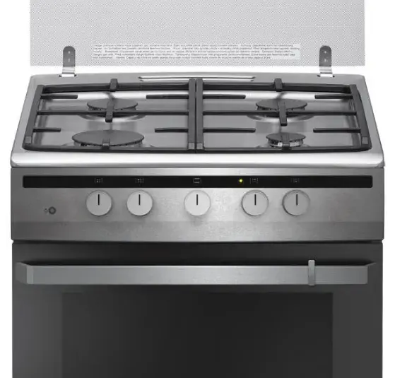 Плита газовая HANSA FCGI 63022 фото
