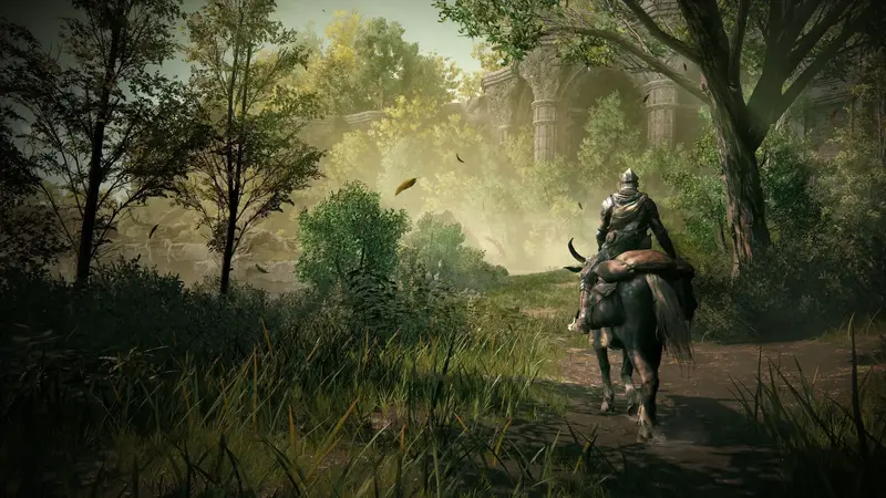Диск Elden Ring Shadow of the Erdtree Edition Collectors Edition (Blu-ray) для PS5 - фото - №8