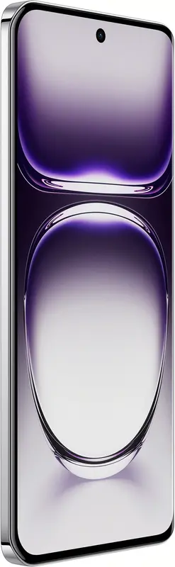 OPPO Reno12 12/256GB (Astro Silver) фото